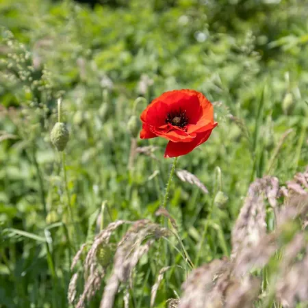 Appartement Reethus 22 Loft 7