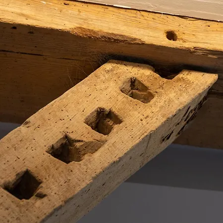 Reethus 22 Loft 7 * Timmendorfer Strand