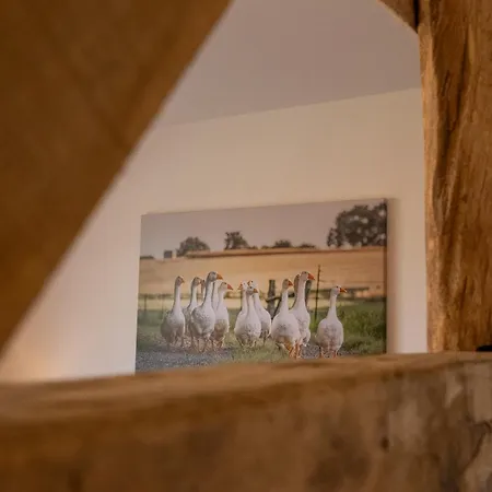 Reethus 22 Loft 7 Appartement Timmendorfer Strand