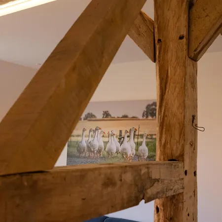 Reethus 22 Loft 7 Appartement