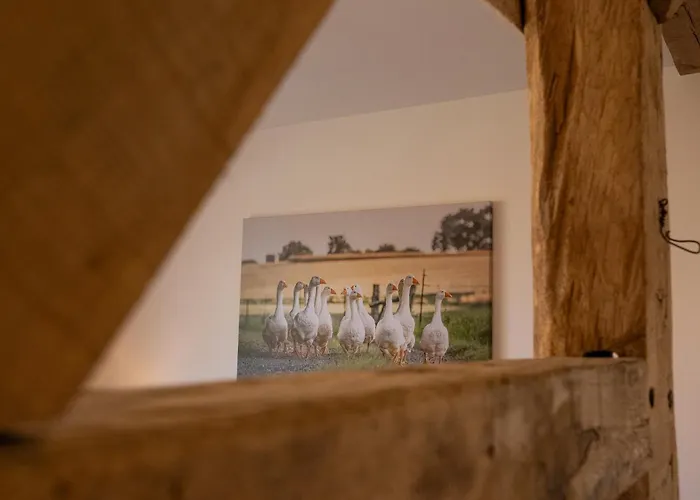 Reethus 22 Loft 7 Appartamento Timmendorfer Strand